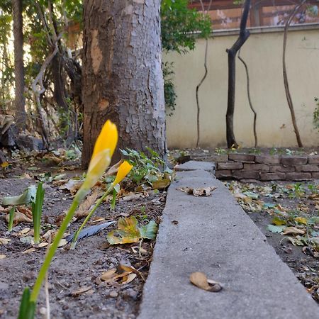 Charming Central Home With Garden Near Parking And Ndk صوفيا المظهر الخارجي الصورة