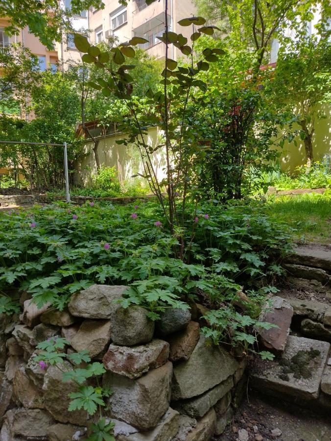 Charming Central Home With Garden Near Parking And Ndk صوفيا المظهر الخارجي الصورة