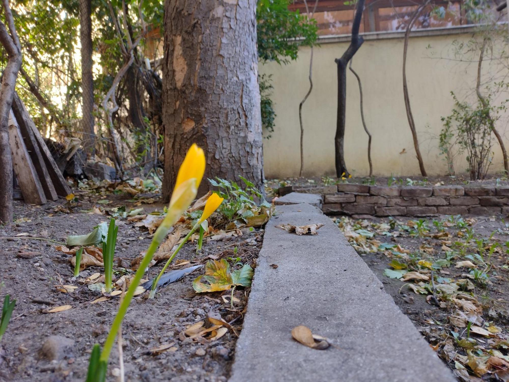 Charming Central Home With Garden Near Parking And Ndk صوفيا المظهر الخارجي الصورة