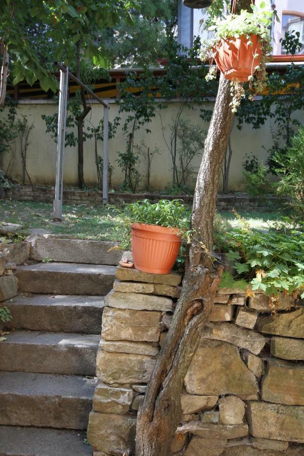 Charming Central Home With Garden Near Parking And Ndk صوفيا المظهر الخارجي الصورة